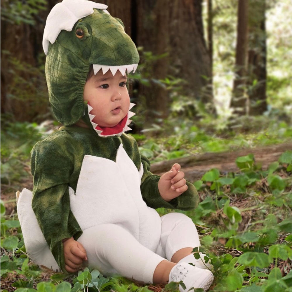 Pottery Barn Kids Green Dinosaur Costume